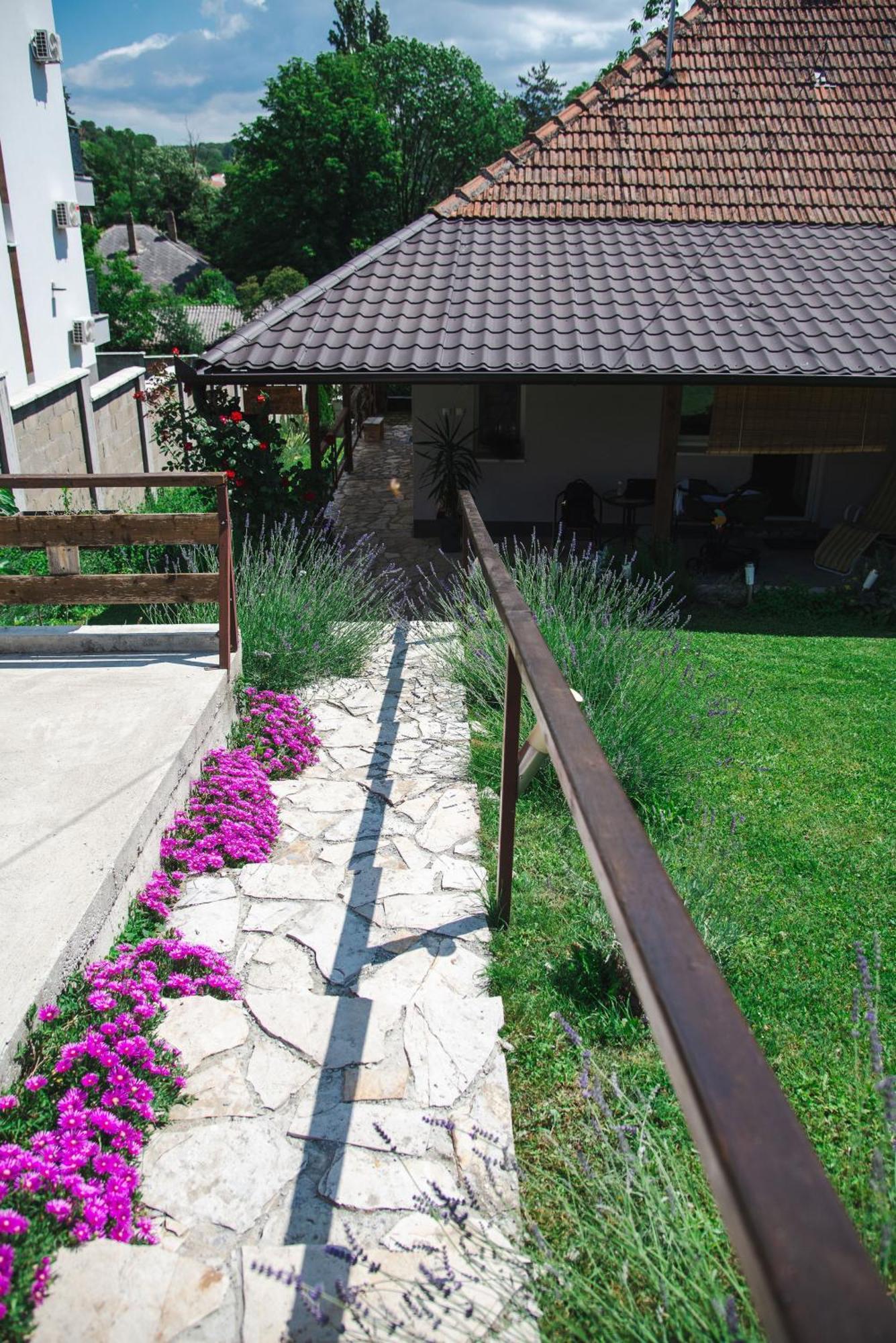 Apartmani Maslacak 브르드니크 외부 사진